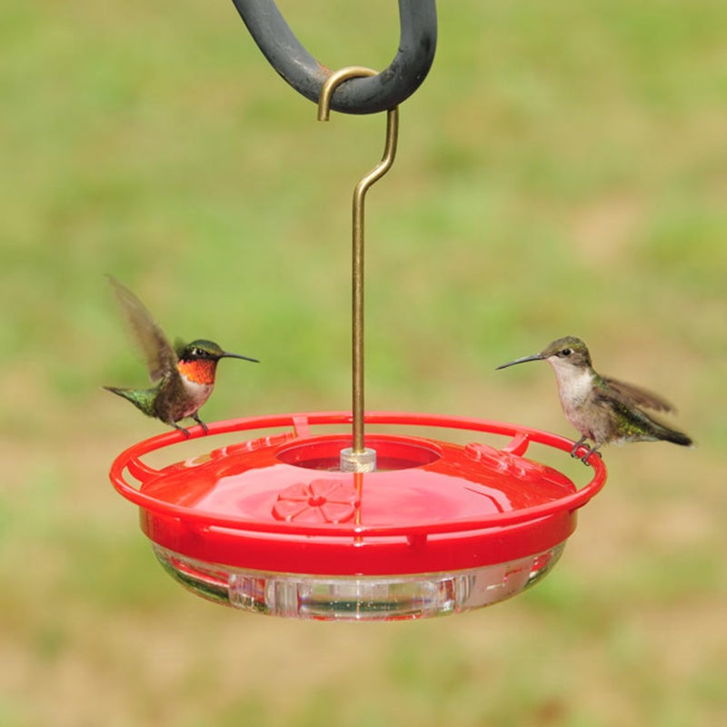Aspects 430 Hummzinger Highview Mini Hummingbird Feeder, Red/Clear, 8 oz - Image 2